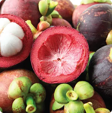BigBasket